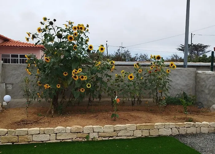 Casa vacanze Moradia Girassol Porto Santo