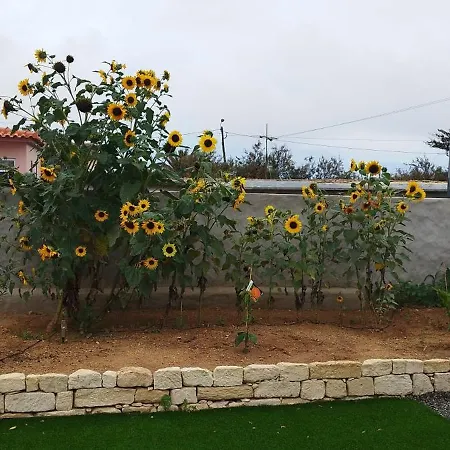 Semesterbostad Moradia Girassol Porto Santo